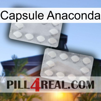 Anaconda Capsule 17